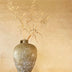 7 Reasons Natural Plaster Walls Are the Future of Interior Design
